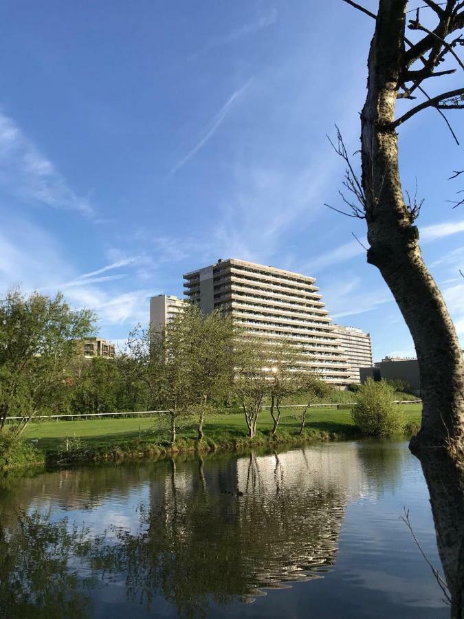 Ostend Studio * Ostende